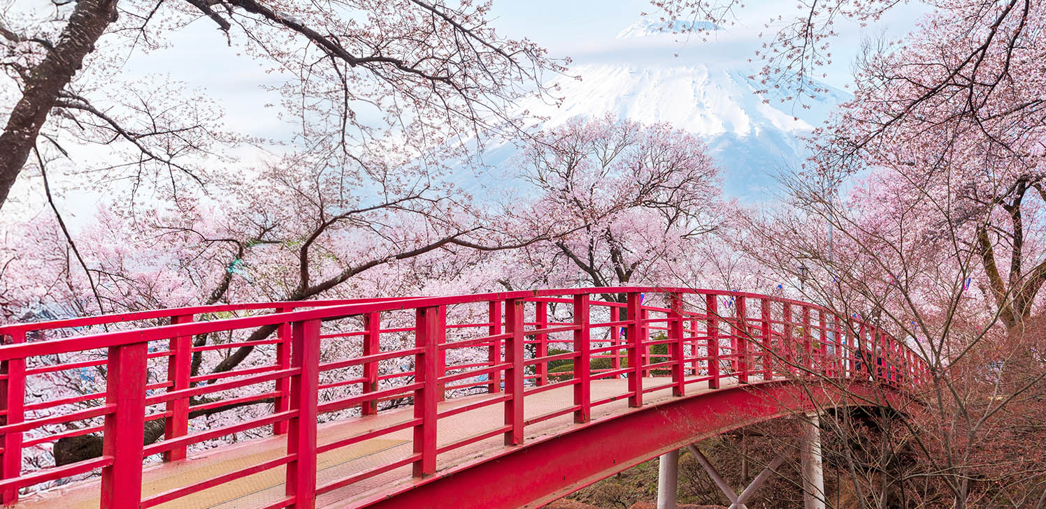 Where are medium- and long-term rates headed in Japan?