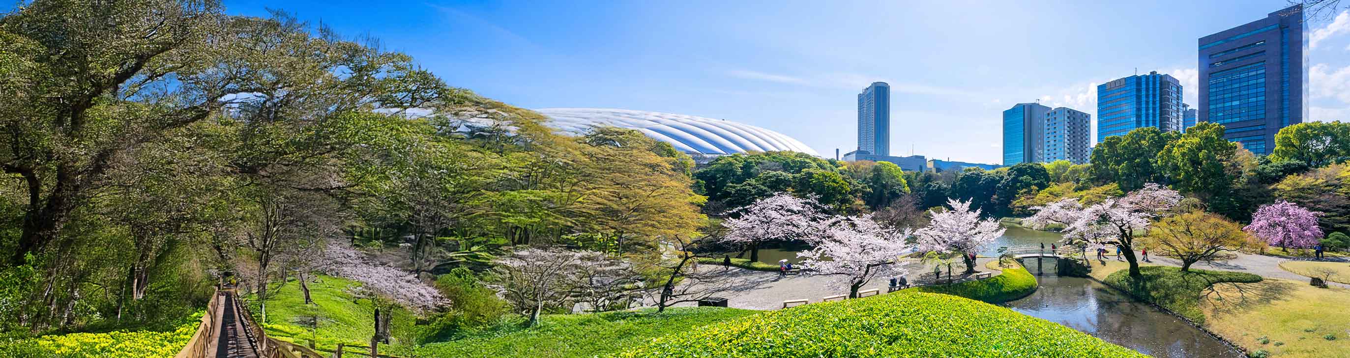 Responsible Investment