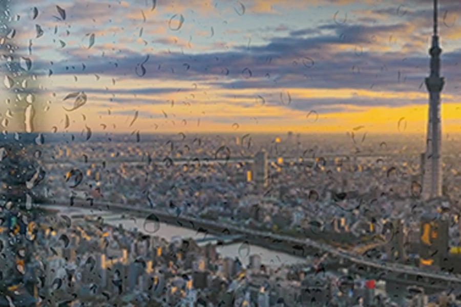 BG INS 11 (Small)